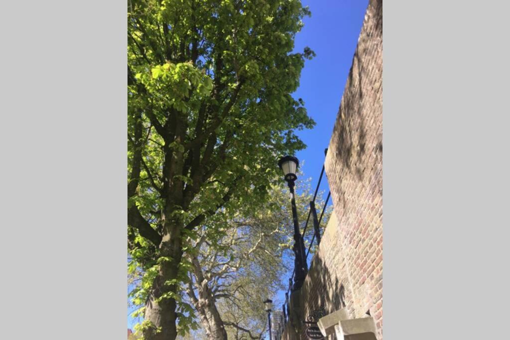 Werfkelder Aan De Oudegracht Apartment Утрехт Екстериор снимка